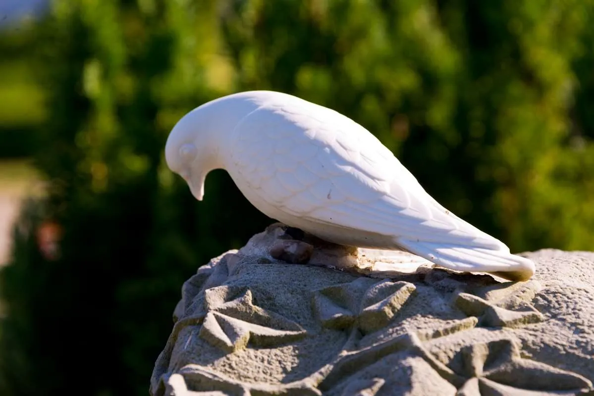 White doves for funeral Chicago honoring loved ones